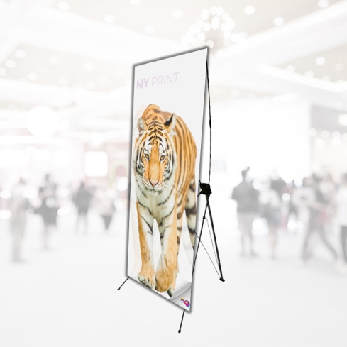 Roll up standard pro - Zeus