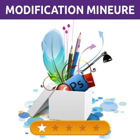 Infographie intervention fichier mineure - Xi An