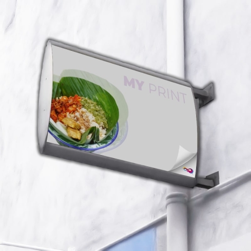 Enseigne drapeau galbée - David-Néel